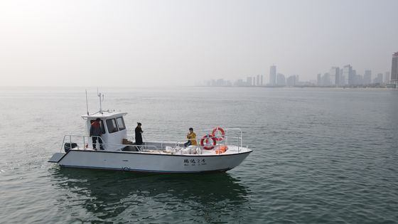 Cheap Aluminum Alloy Pilot Boat Work Boat for Sale